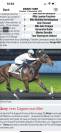 Cheval de loisir 10 ans