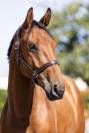 SF 3 ans par Andiamo Semilly 