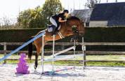 SF 3 ans par Andiamo Semilly 