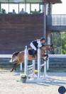 MINEDORE DE L'AUMOY - femelle PFS 4 ans