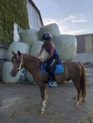 PONEY B
