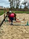 Ponette 9ans poulini&egrave;re pleine (d&eacute;bourr&eacute;e)