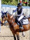 Pony da salto irlandese 14 y.o