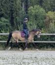 Tr&egrave;s jolie ponette de 11 ans - 146cm