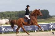 Jument SF, 11 ans , id&eacute;ale loisir et CSO 100-110
