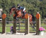 Hongre 9 ans class&eacute; 125cm