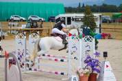Poney D 9 ans 
