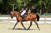 Ponette PFS 3 ans 