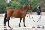 Ponette PFS 3 ans 