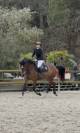 Jument chic pour CSO