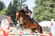 Jument chic pour CSO