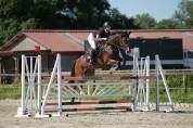 Jument chic pour CSO