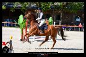 Hongre cso 