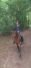 Afaya, jument de selle de 9 ans