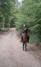 Afaya, jument de selle de 9 ans