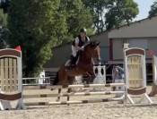 Ponette C par quoutsou 