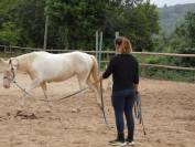 Ponette OC de 4 ans