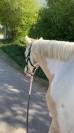 Ponette OC de 4 ans