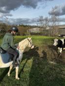 Ponette OC de 4 ans