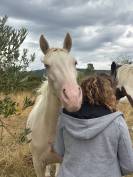 Ponette OC de 4 ans