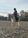 Ponette OC de 4 ans