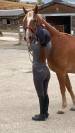 Poney ONC de 7ans
