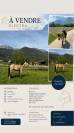 Magnifique ponette &Agrave; VENDRE
