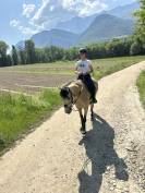 Magnifique ponette &Agrave; VENDRE