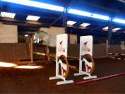 Poney de sport 
