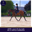 Chc jument de 6 ans env 1m65