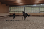 Second Souffle &mdash; &Eacute;thologie, R&eacute;&eacute;ducation & Gardiennage