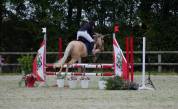 &Agrave; vendre ponette de sport