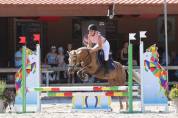 &Agrave; vendre ponette de sport