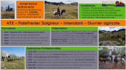 ATE - Palefrenier Soigneur &ndash; Ouvrier agricole