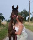 Gentil cheval 