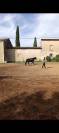 ? NAYA &ndash; JUMENT PRE PLEIN PAPIER &ndash; 3 ANS &ndash; 1,56 M