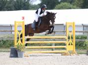 Cheval de sport pour d&eacute;buter en CSO amateur