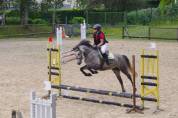 Ponette Connemara PP - 5 ans - 1m48 - Mental en or