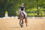 Ponette Connemara PP - 5 ans - 1m48 - Mental en or