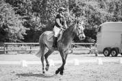 Ponette Connemara PP - 5 ans - 1m48 - Mental en or