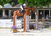 Recherche d&rsquo;emploi - Moniteur d&rsquo;&eacute;quitation (DEJEPS)