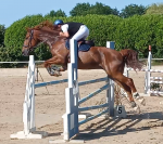 hongre SF gagnant 115 et class&eacute; 120