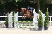My Dream de Feinn H 4 ans D gros moyens CSO a vendre 91