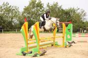 Poney &agrave; vendre Puy de d&ocirc;me 
