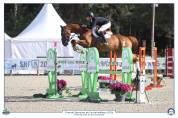 Fils de Mylord carthago Finaliste Cycle Classique 6 ans