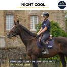 NIGHT COOL - PS - 8 ANS
