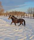 Superbe ponette assurance vie