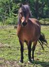 Superbe ponette assurance vie