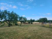 Azienda agricola In vendita Charente-Maritime