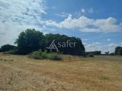 Azienda agricola In vendita Charente-Maritime